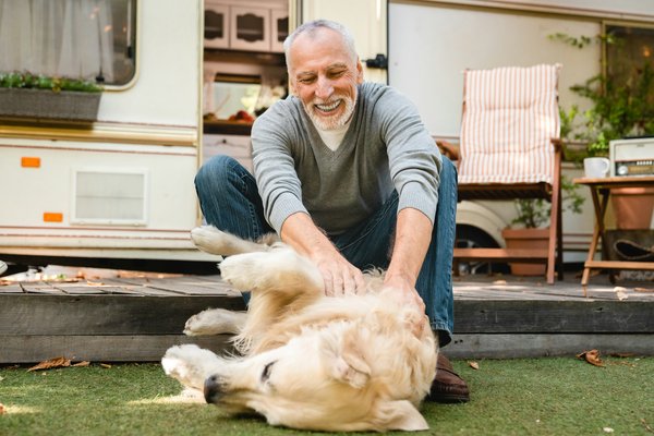 Conseils et astuces animal domestique: prenez soin de vos compagnons